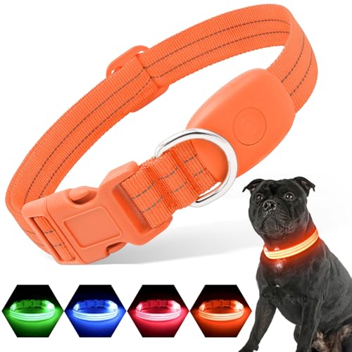 PZRLit LED Hundehalsband – Leuchthalsband Hund Verstellbar, Reflektierendes & Wasserdichtes Hundehalsband, USB Aufladbares Sicherheitshalsband für Kleine Mittel Große Hunde, Halsbänder