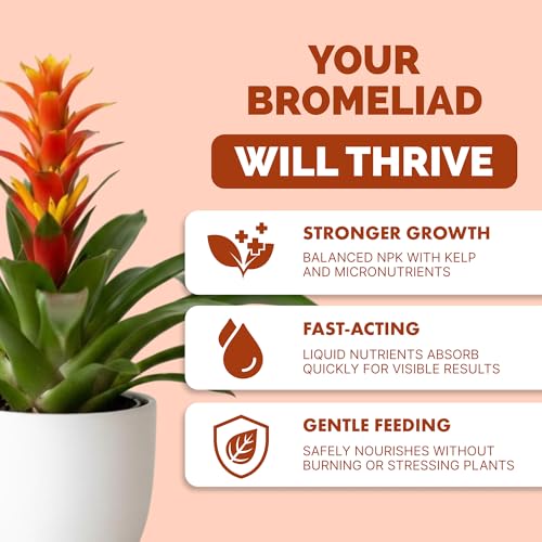 Fertilizante Líquido para Bromelias 8 oz miniatura 2