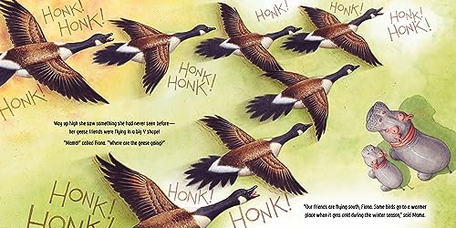 You've Got This, Fiona: A Book About Change (A Fiona the Hippo Book) - Image 5