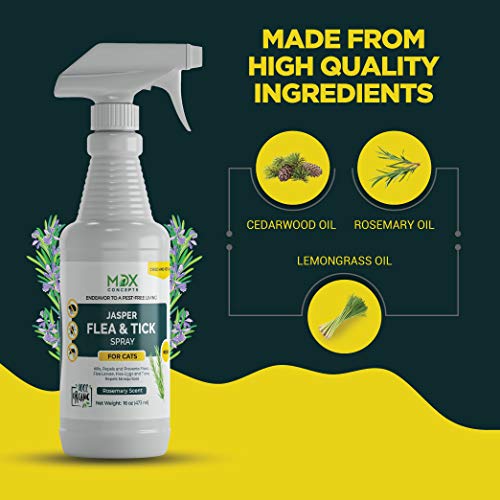 mdxconcepts Organic Flea and Tick Control Spray for Cats- Made in USA - Rosemary Oil flea Treatment for Cats–Flea Repellent 100% Natural –Essential Oils – Flea Killer - Safe to Use –16 oz - Thumbnail 3