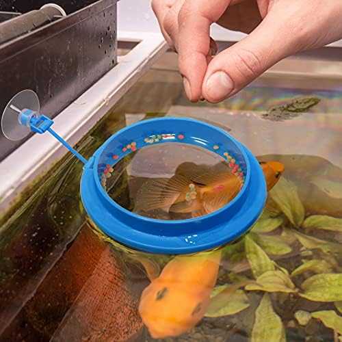 Top 10 Best automatic pond feeder DecisionDesk
