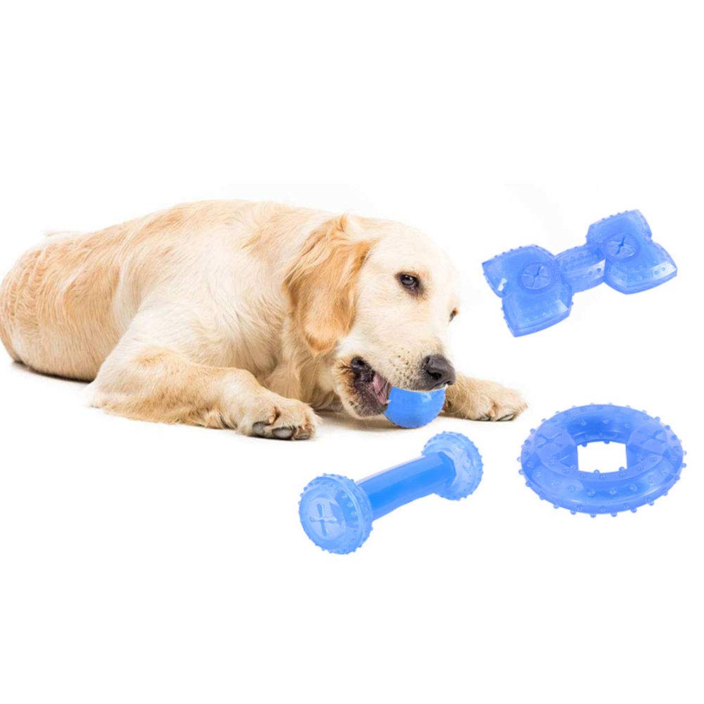 Glaciart One Filzwollbälle Für Hunde, 3er-Set – Langlebiges Kauspielzeug Zur Zahnreinigung & Gegen Langeweile