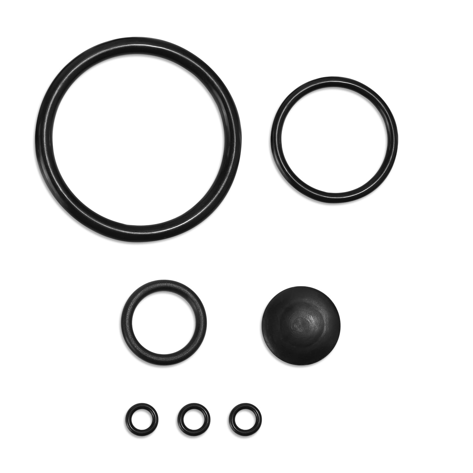 Amazon.com: Chapin Seal Gasket Set Compatible with 20000 Sprayers