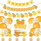 Orange Birthday Party Decoration Set with Orange Happy Birthday Banner Orange Cake Toppers, Tangerin
