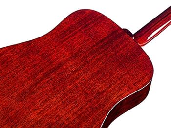 Amazon.co.jp: GUILD USA製 ドレッドノート D-40 TRADITIONAL