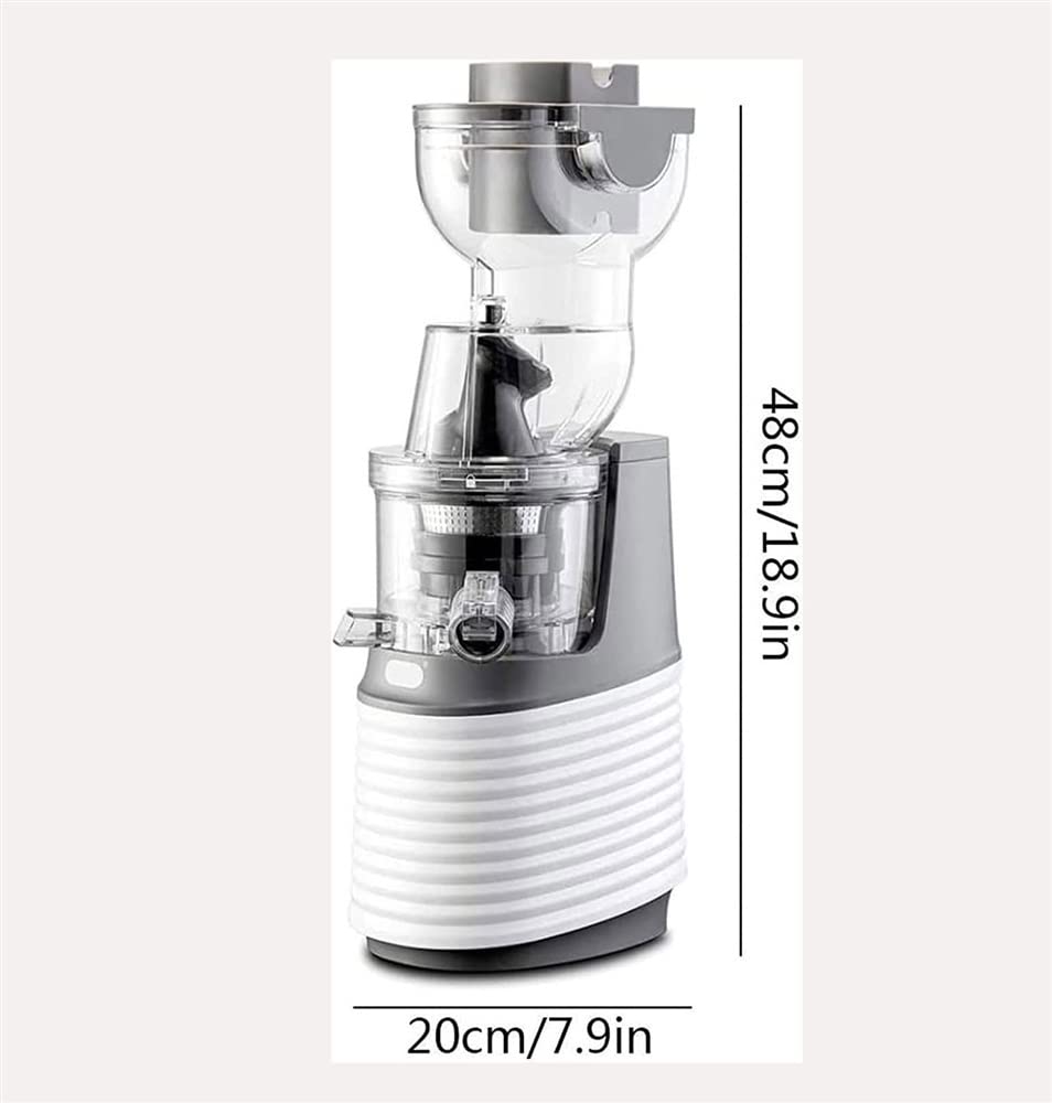 Estrattore di Succo, estrattore Lento Facile da Pulire, estrattore di Succo a Freddo con Funzione inversa per Frutta e Verdura, Senza BPA, Bianco (Dimensioni: 1)