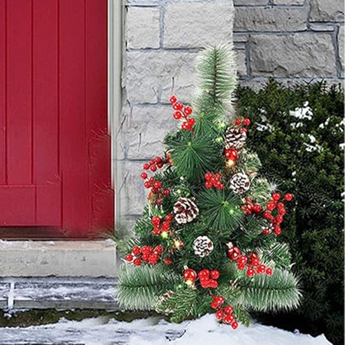Árbol de Navidad exterior 60 cm con 20 luces LED impermeables 4