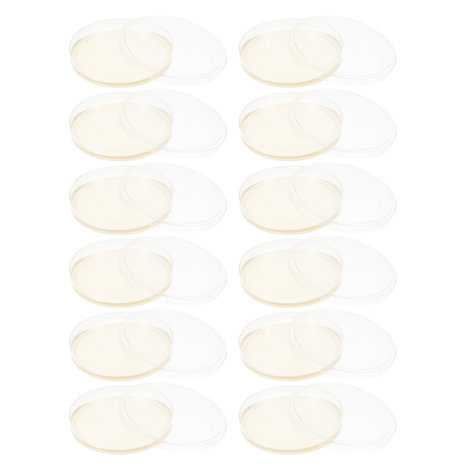 Healifty Placas de Petri de 9cm 20 de Agar Nutritivo Redondas y Listas para Usar Nutrición Constante para Cultivo de Hongos y Experimentos de Laboratorio