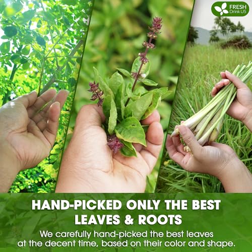 Image of FreshDrinkUS, Premium 55 Tea Bags Tulsi Moringa Lemongrass, 100% Natural & Pure from Tulsi Holy Basil Leaves, Moringa & Lemongrass. Made with Natural Material Tea Bags. No Sugar, No Caffeine, Vegan.