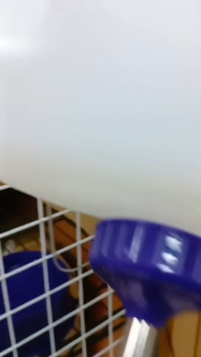 Lixit 64 Ounce Widemouth Cage Water Bottle For Rabbits, Ferrets, Guinea Pigs & Small Animals