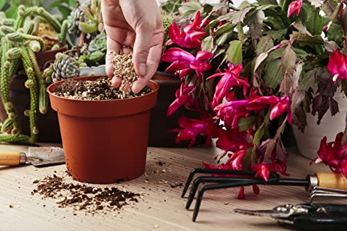 R&R SHOP – Fein expandiertes Vermiculit, neutraler pH-Wert, ideal für Keimung, Wachstum von Pflanzen, Pilzen und Terrarientieren (3L)