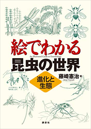 絵でわかる昆虫の世界 進化と生態 ｋｓ絵でわかるシリーズ 藤崎憲治 生物 バイオテクノロジー Kindleストア Amazon