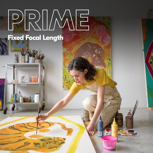 NIKKOR Z 24 mm 1 : 1,8 S (INCL. HB-88)