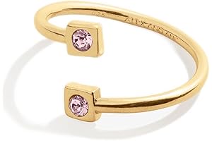 Sparkling Amethyst Astrology Ring by Alex and Ani