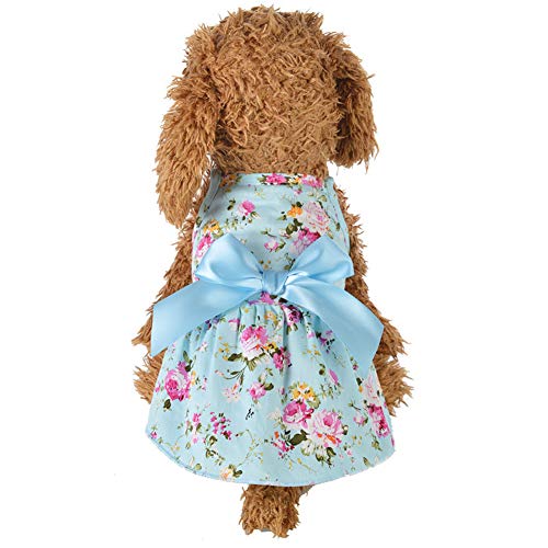 Roupas de princesa para animais de estimação DSstyles - Vestido para cachorro com laço e saia para p