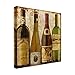 Trademark Fine Art ALI38309-C3535GG Fine Art, Multicolor