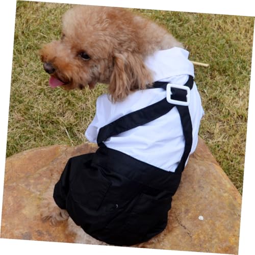 Disfraz formal para perros blanco talla L miniatura 7