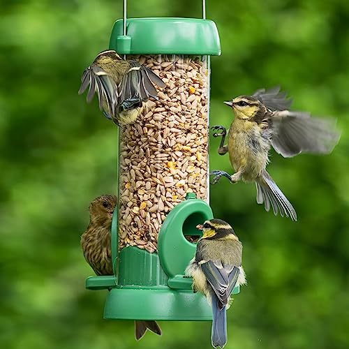 Alimentadores de pássaros para pássaros pequenos - Jacobi Jayne® Bird Lovers™ Alimentador de semente
