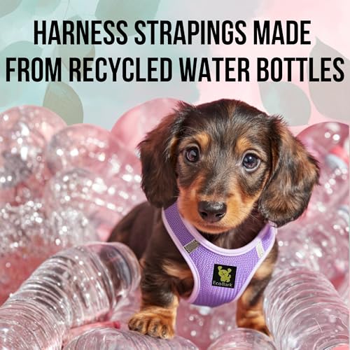 EcoBark Premium Quality Step in Dog Harness - Teacup Dog Harnesses - Perfect Puppy Harness - Luxury Soft Mesh Step in Vest - No Pull Mini Body Halter - Toy Breed Harnesses (XXXS, Lavender) - Image 5