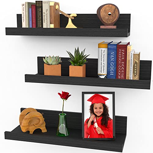 Icona Bay 16 Inch Floating Shelves for Wall, Set of 3 in Ebony Black, Modern Rustic Style, Wall Mounted Display Shelves, Picture Ledges