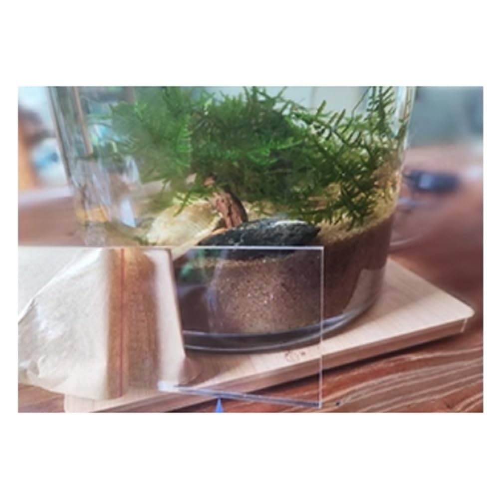 Divisorio Per Acquario In Acrilico Trasparente - Regolabile Con Ventose - Per Pesci - Foto 10