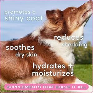 Native Pet Omega Skin and Coat Chews for Dogs - Dog Skin and Coat Supplement for Healthy, Shiny Fur, Reduce Shedding and Dry Spots - Made with Omega 3 Fish Oil and Wild-Caught Salmon Oil - 30 Chews Native Pet Omega Skin and Coat Chews for Dogs Dog Skin and Coat Supplement for Healthy Shiny Fur Reduce Shedding and Dry Spots Made with Omega 3 Fish Oil and Wild Caught Salmon Oil 30 Chews