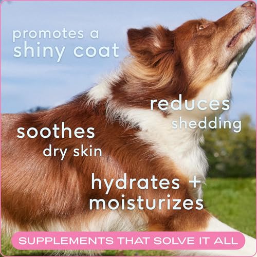 Native-Pet-Omega-Skin-and-Coat-Chews-for-Dogs-Dog-Skin-and-Coat-Supplement-for-Healthy-Shiny-Fur-Reduce-Shedding-and-Dry-Spots-Made-with-Omega-3-Fish-Oil-and-Wild-Caught-Salmon-Oil-30-Chews Native Pet Omega Skin and Coat Chews for Dogs Dog Skin and Coat Supplement for Healthy Shiny Fur Reduce Shedding and Dry Spots Made with Omega 3 Fish Oil and Wild Caught Salmon Oil 30 Chews