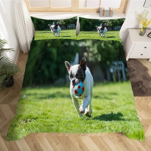 Housse de couette 200x200 bouledogue avec parure de lit 3 pièces en microfibre kz1492 - 3