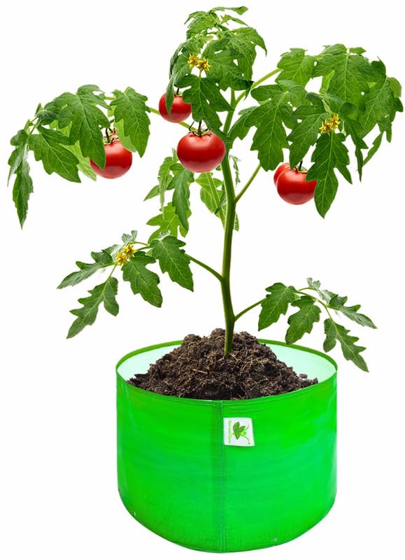 Image of Sow and Grow HDPE UV Protected 270 GSM Round Grow Bags for Terrace and Backyard Gardening Planters for Vegetable, Flower, Herbs and Fruits Green Color, Reusable Plant Bags (18x6 INCH, 5)