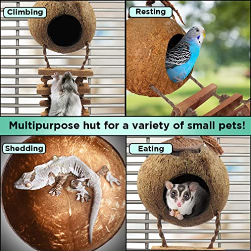 SunGrow Hermit Crab Coco Hut with Ladder, Cave Habitat with Hanging Loop, Large - Image 5