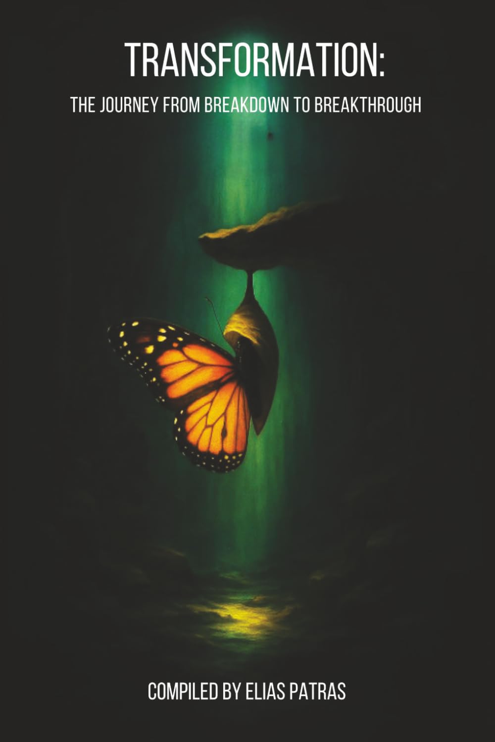 Transformation: The Journey from Breakdown to Breakthrough