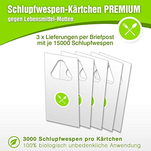 Preisvergleich Produktbild Mottenfrei, Schlupfwespen gegen Lebensmittelmotten,Mottenfalle,Biolog... Mottenbekämpfung DREI Lieferungen à 15000 Trichogramma Biozidfrei