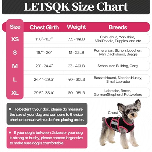 Combinaison de compression pour chien pour visite vétérinaire
