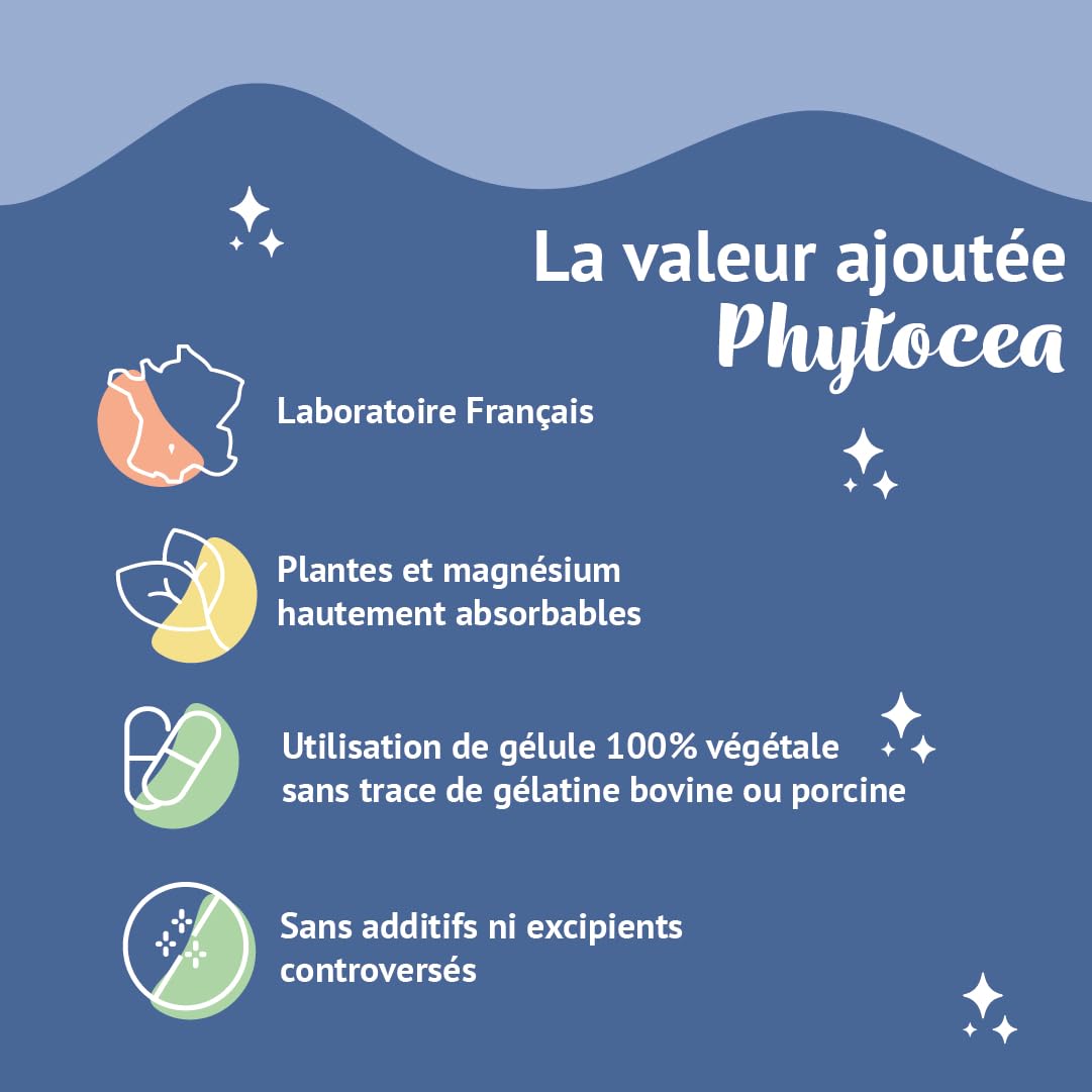 Bacopa Monnieri, Ginkgo Biloba Bio, Magnésium, Vitamine B12, B9, B1| Complément Alimentaire Anti Stress et Focus | Mémoire et Concentration | 90 Gélules Vegan Complement Fabriqué en France