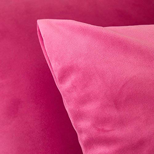 Image of Khooti Velvet Cushion Cover, 16x16 | Pink | Pack of 5 | Solid Plain Soft & Smooth, Decorative Cushion Covers for Living Room, Bedroom, Couches, Chairs, Sofas, Beds & Home Decor