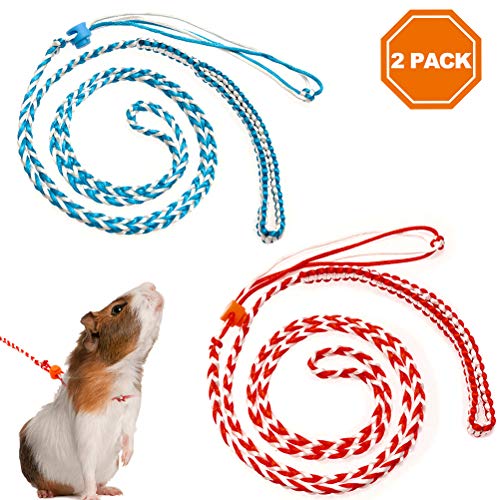 20 Best Guinea Pig Harness and Leash in 2020 (Reviewed)
