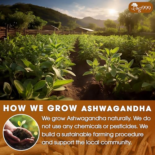 Image of TOG999, Premium 120 Ashwagandha Root Tea Bags, 100% Natural & Pure, Ashwagandha Root Herbal Tea. No Sugar, No Caffeine, No Gluten, Vegan.