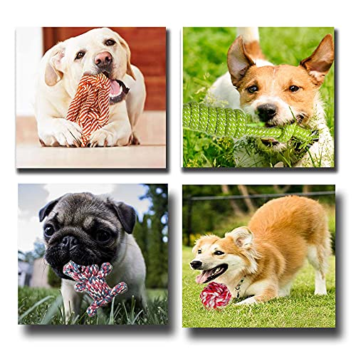VIROSA-Dog-Rope-Toys-Pack-of-10-Chew-Toys-For-Puppy-Interactive-Toys-For-Dogs-Cotton-Rope-Toys-For-Dogs-Cotton-Toys-For-Puppy-Ideal-for-SmallMediumLarge-Dogs