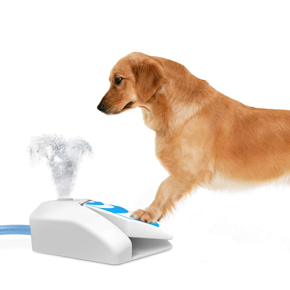 All for paws chill out garden water fountain Clearance