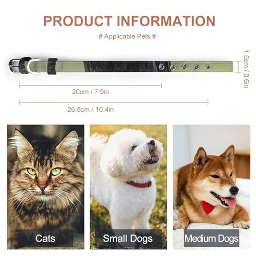 Collier pour chien réglable design corbeau avec finitions métal