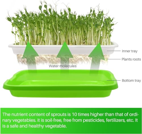 Image of Seed Sprouter Germination Tray with Drain Holes, Nursery Tray, 500ml Empty Spray Bottle, Germination Paper Soil-Free Wheatgrass Sprouting Growing Kit for Garden Home Office (Pack of 1)