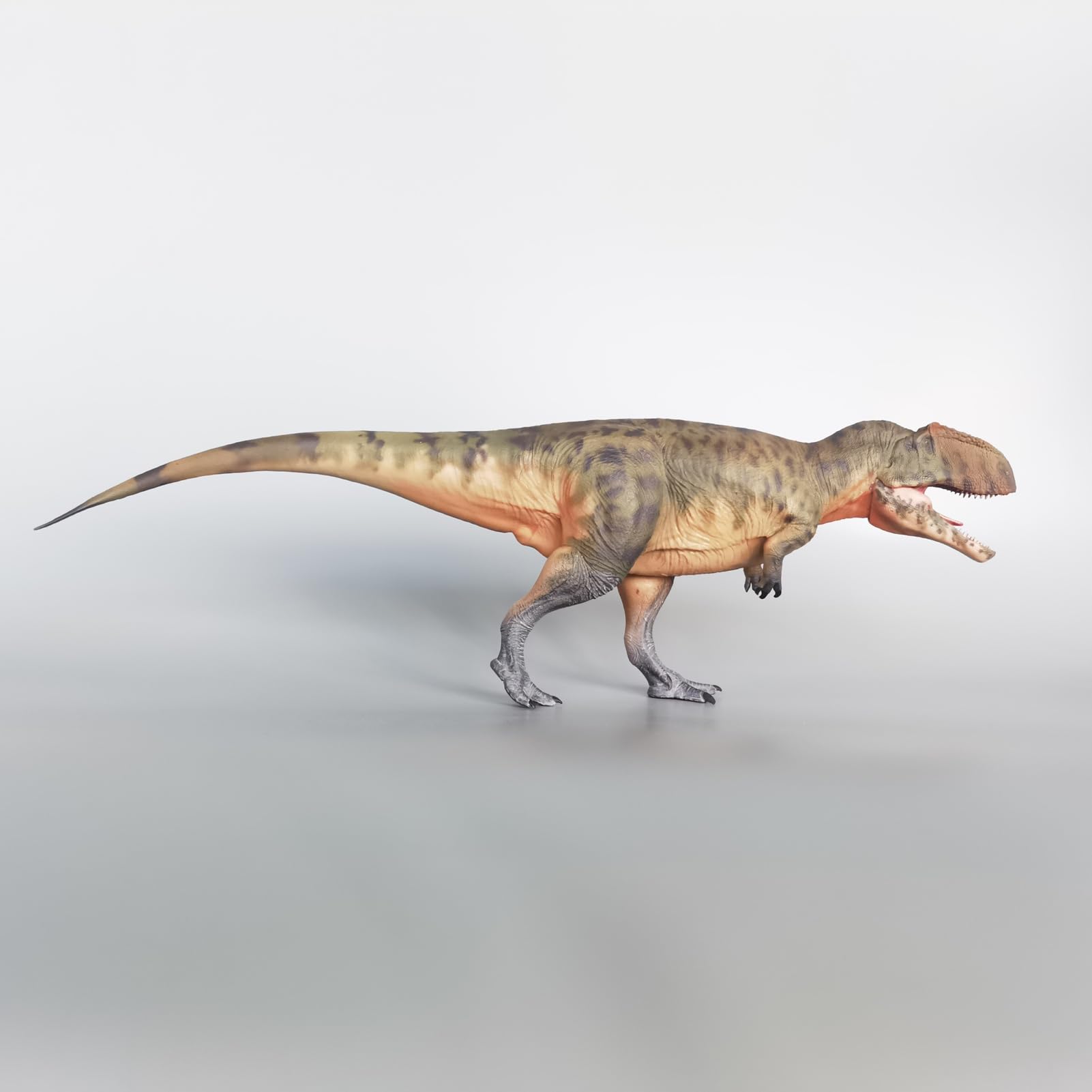 Haolonggood Giganotosaure Échelle 1:35 Modèle animal préhistorique mâchoire mobile