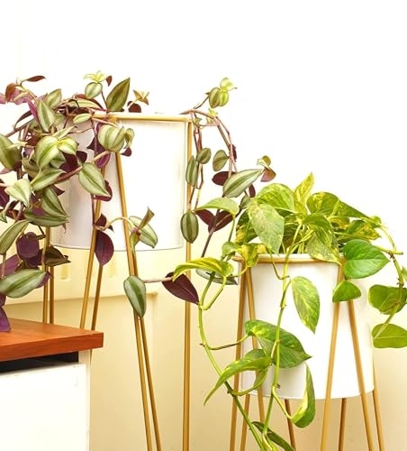 Image of Brass Industry Iron Metal Indoor Out Door Bedroom Home Office Planter Pot Tall Stand with Planter for Living Room, Balcony Flower Pot Stand Set of 2 (White)