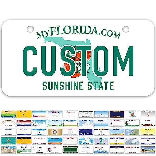 Mini License Plates Personalized License Plates Custom for Car Bikes ATV Kids Car Golf Cart Jeep 2x4 Inch Rust-Free Fade Resistant Aluminum USA Made By My Sign Center (Florida)