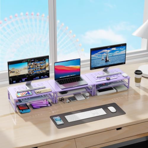 Image of gianotter 2-Tier Metal Monitor Stand Riser