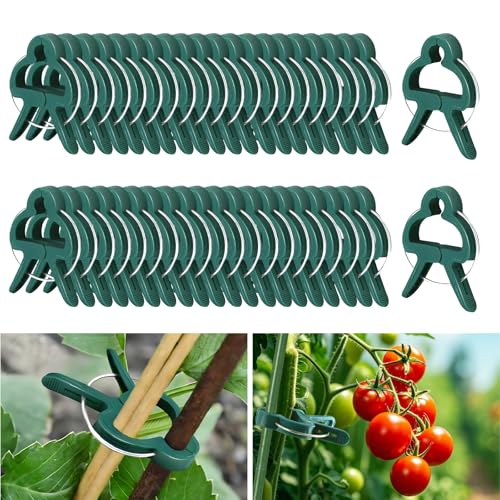 Lysjoy Pflanzenclips für Kletterpflanzen 50 Stück Pflanzenklammern Pflanzen Clips Tomaten Clips Wiederverwendbar für Tomaten Gemüse Früchte (50 Kleine)