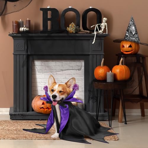 Disfraz Halloween para perros y gatos Hechicera 2 piezas miniatura 5