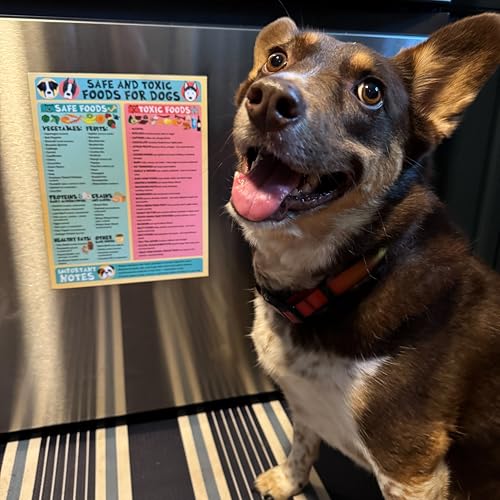 Image of Magnetic 8.5x11 Safe and Toxic Foods for Dogs Magnet - Pet Safety Chart and Canine Nutrition Guide, Waterproof & Humidity- (Pack of 1)