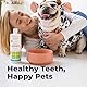 Oxyfresh Pet Solution Mundwasser für Tiere 473ml