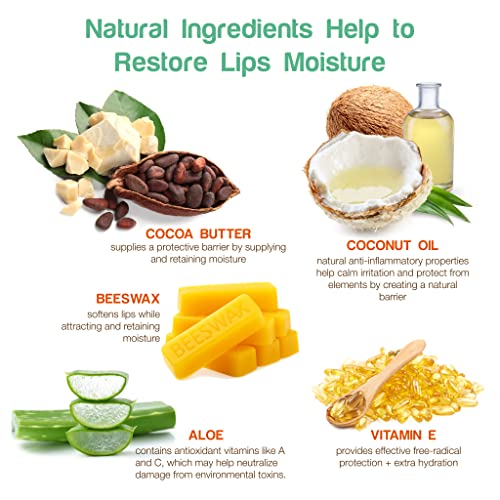 Nature's Bees (24 Count, 8 Flavors) Cocoa Butter Flavored Lip Balm Tubes Set Bulk Assortment Natural Chap Treatment Moisturizer For Very Dry Lips #TOP3
